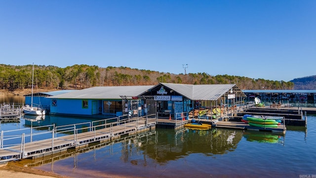 dock area with a water view