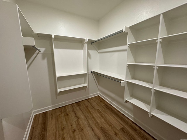 spacious closet featuring dark hardwood / wood-style flooring