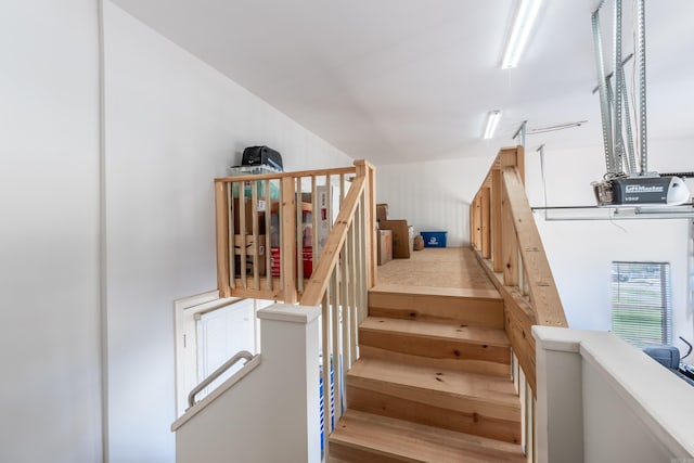 staircase featuring wood-type flooring