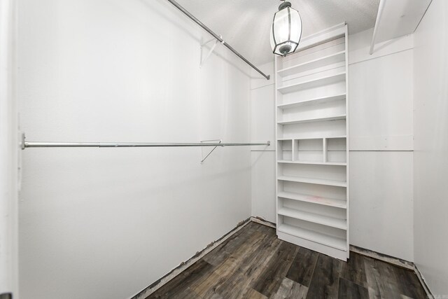 spacious closet with dark hardwood / wood-style flooring