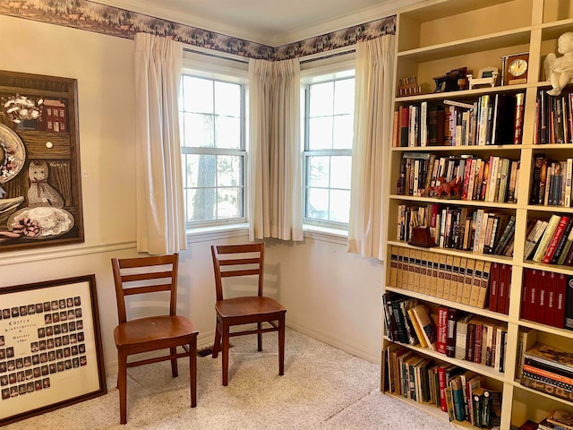 sitting room featuring carpet flooring