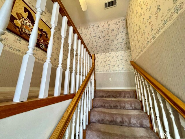 staircase with carpet floors