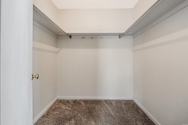 walk in closet with carpet flooring