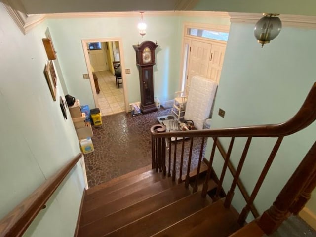 stairs featuring wood-type flooring and ornamental molding