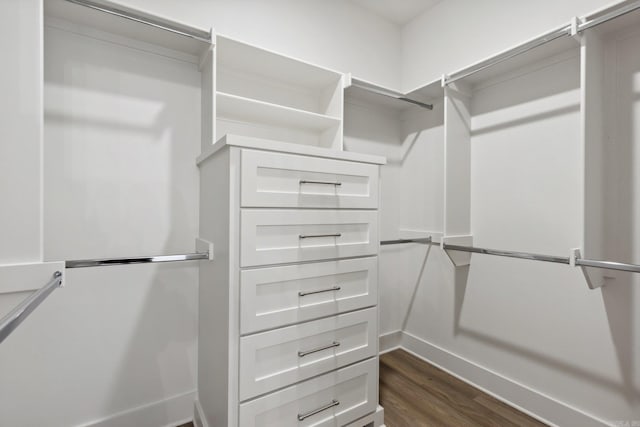 spacious closet featuring dark hardwood / wood-style flooring