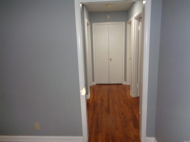 hallway featuring hardwood / wood-style flooring