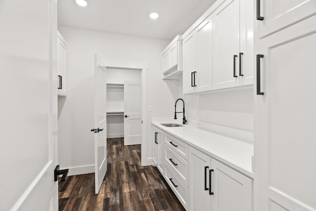 interior space featuring dark hardwood / wood-style flooring and sink