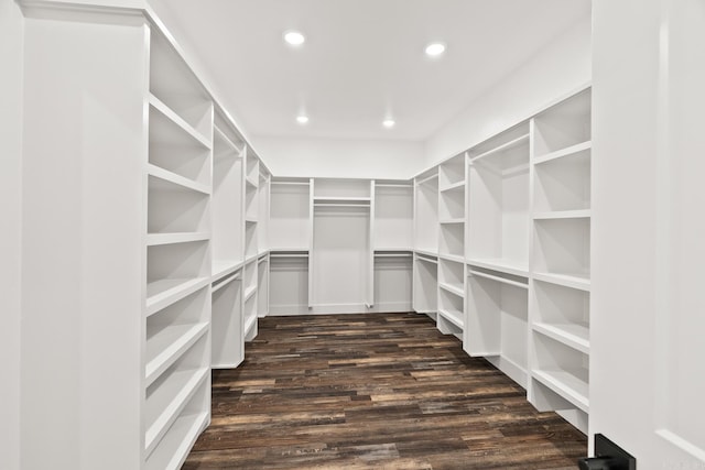 walk in closet with dark wood-type flooring