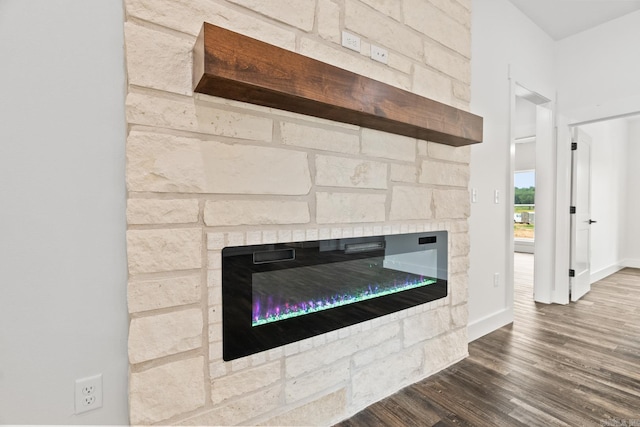 details featuring a fireplace and wood-type flooring