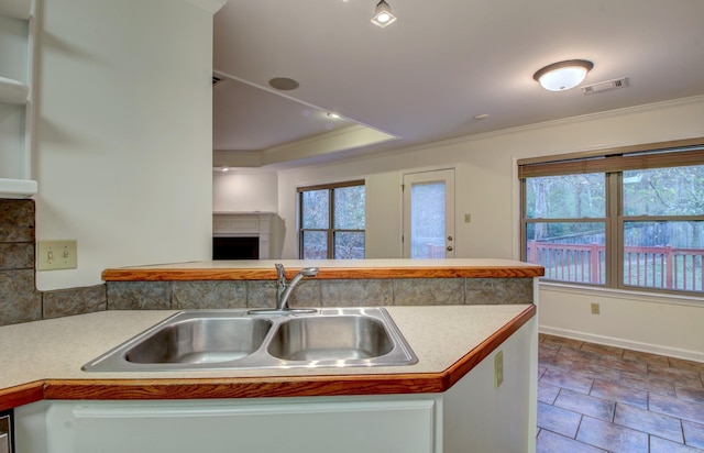 kitchen featuring a fireplace, ornamental molding, and sink