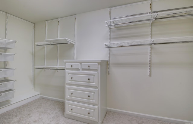 spacious closet featuring light carpet