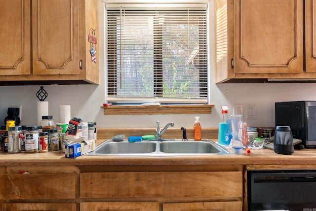 kitchen with dishwasher and sink