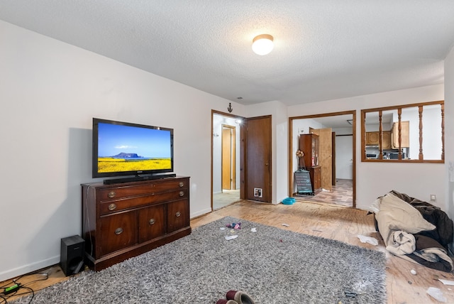 living room with light hardwood / wood-style floors and a textured ceiling