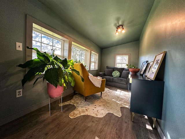 living area featuring wood-type flooring and lofted ceiling