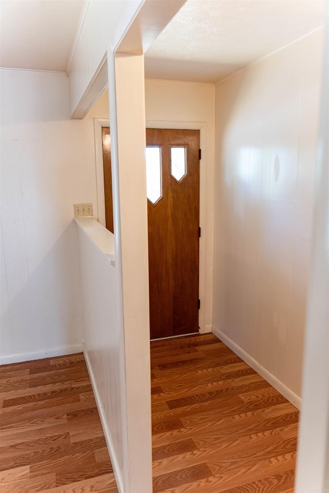 entryway featuring wood-type flooring