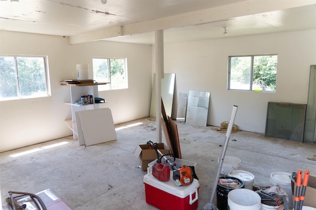 miscellaneous room featuring plenty of natural light