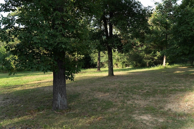 view of landscape