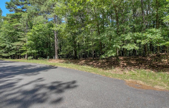 13 Gozar Ln, Hot Springs Village AR, 71909 land for sale