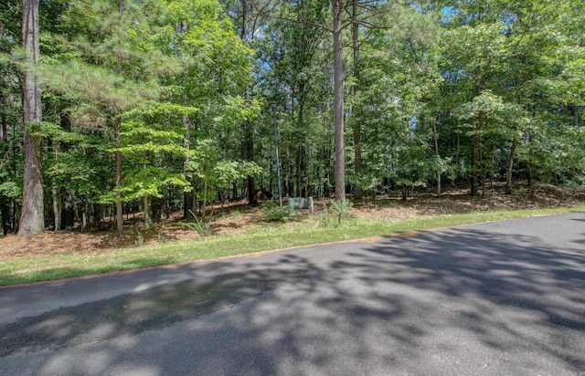 Listing photo 3 for 13 Gozar Ln, Hot Springs Village AR 71909