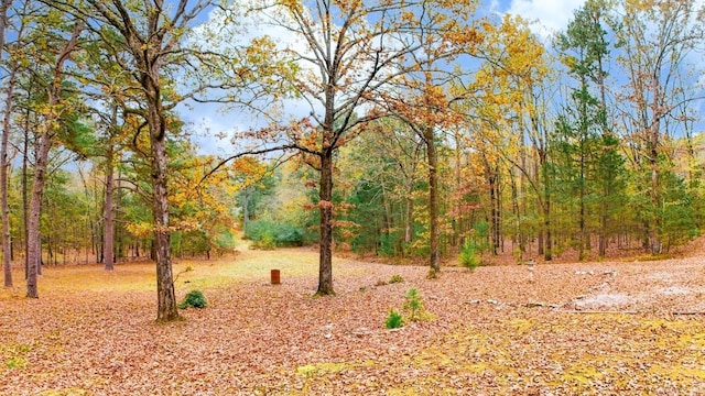250 Wanda Ln, Heber Springs, AR 72453 - view of yard