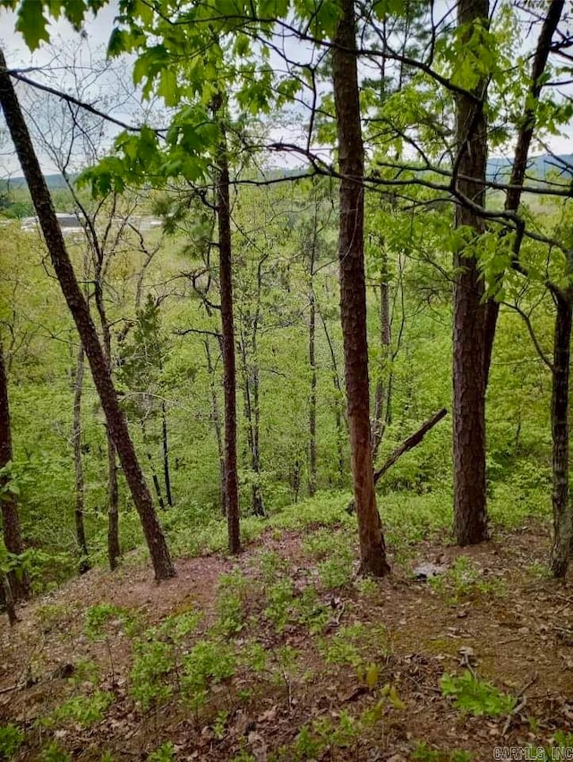 000 Caddo Hills Ln, Caddo Gap AR, 71935 land for sale