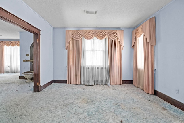 empty room with carpet flooring and a textured ceiling