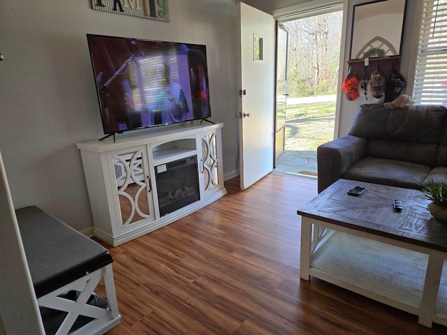 living room with hardwood / wood-style flooring