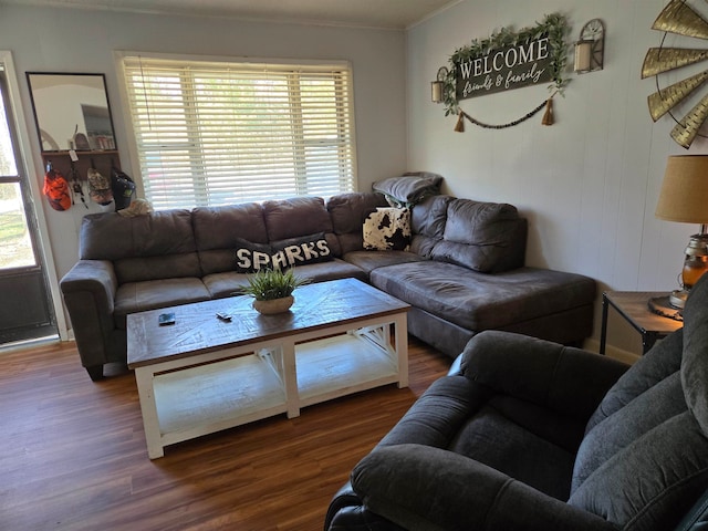 living room featuring dark hardwood / wood-style floors, a wealth of natural light, and crown molding