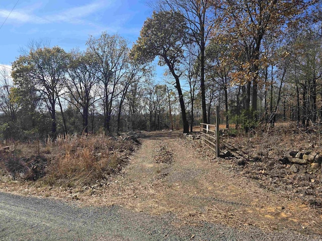 14 Rose Ln, Conway, AR 72032