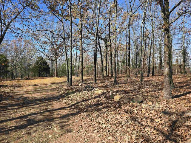 14 Rose Ln, Conway, AR 72032
