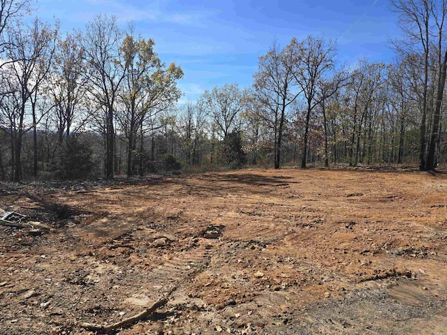 14 Rose Ln, Conway, AR 72032
