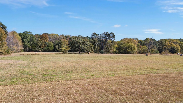 Address Not Disclosed, Pottsville AR, 72858 land for sale