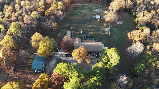 bird's eye view