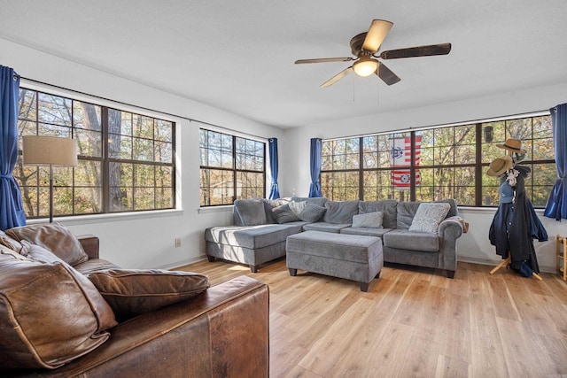 living room with ceiling fan and light hardwood / wood-style flooring