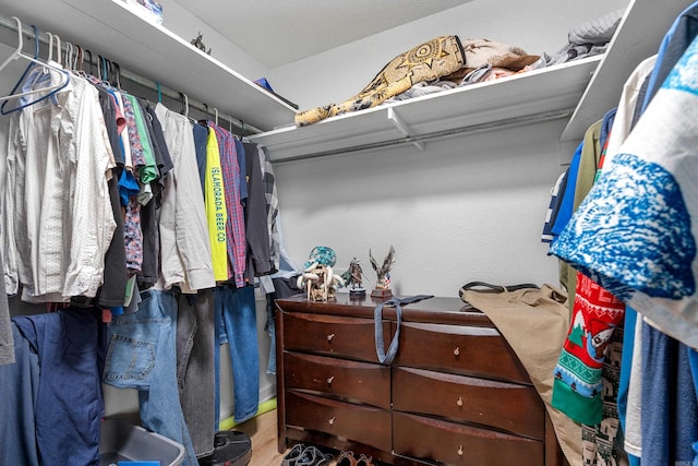 spacious closet with hardwood / wood-style floors