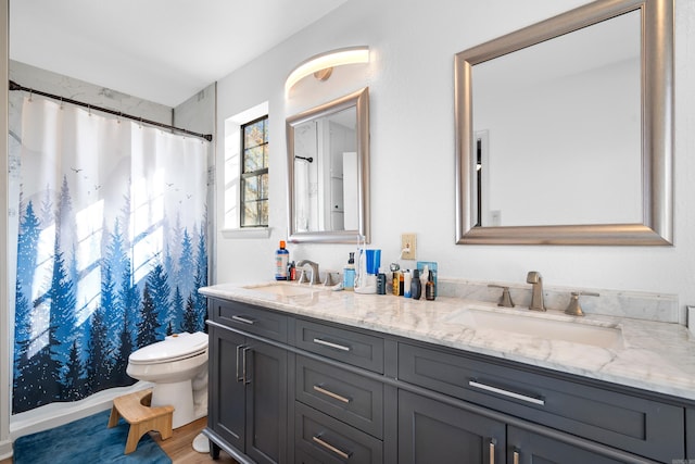 bathroom with curtained shower, vanity, wood-type flooring, and toilet