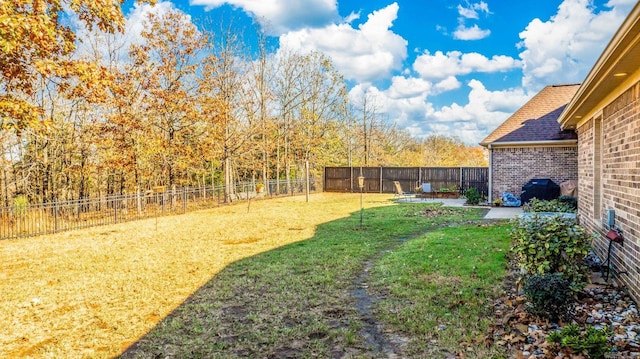 view of yard featuring a patio area