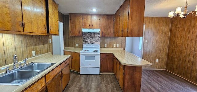 kitchen with white range with electric stovetop, dark hardwood / wood-style flooring, wooden walls, and sink