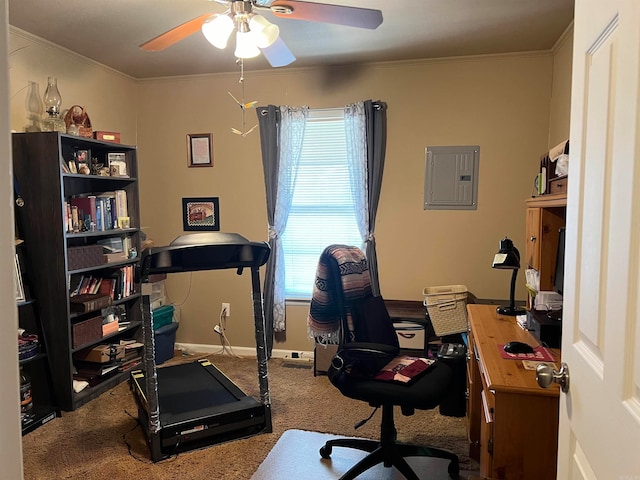 workout room with electric panel, ceiling fan, carpet, and ornamental molding