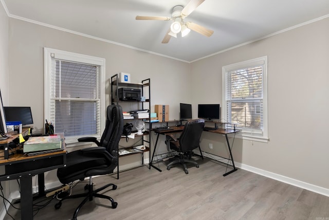 home office with ceiling fan, light wood-type flooring, and crown molding