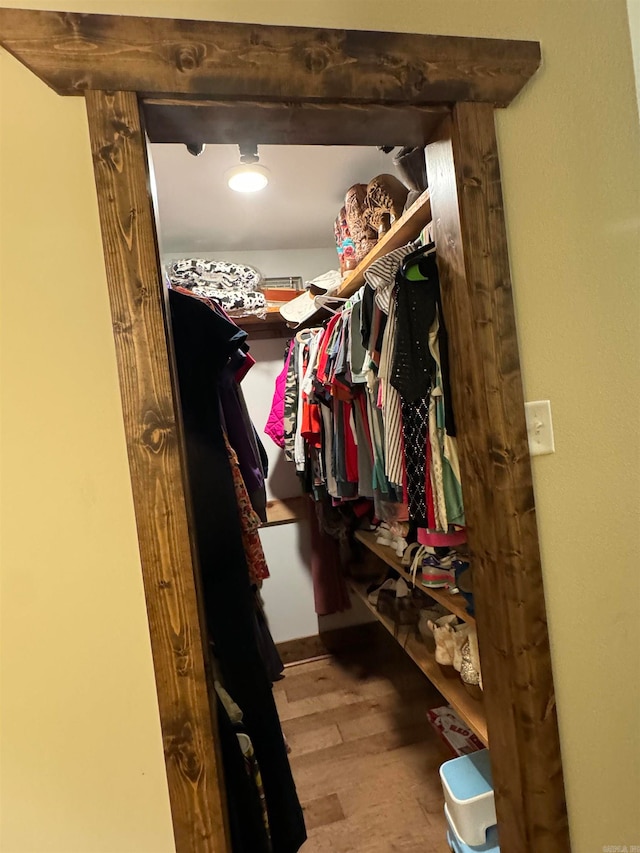 spacious closet featuring wood-type flooring