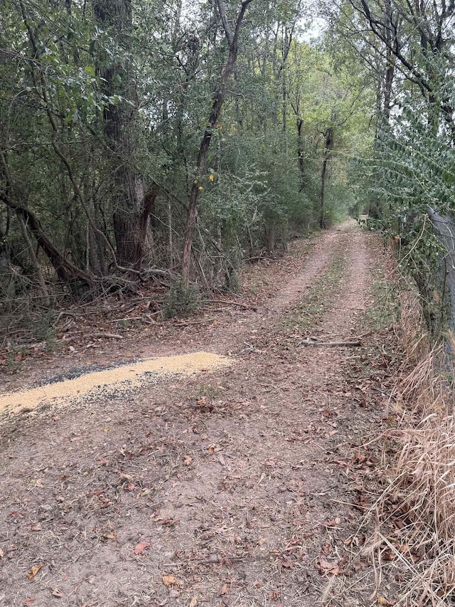 24923 Colonel Glenn Rd, Little Rock, AR 72210 - view of dirt / gravel road featuring a view of trees