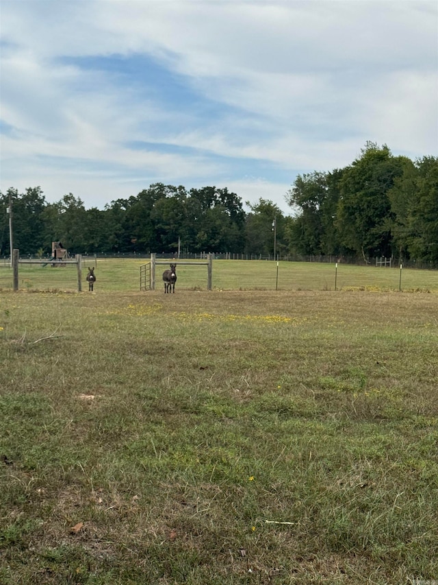 view of yard with a rural view