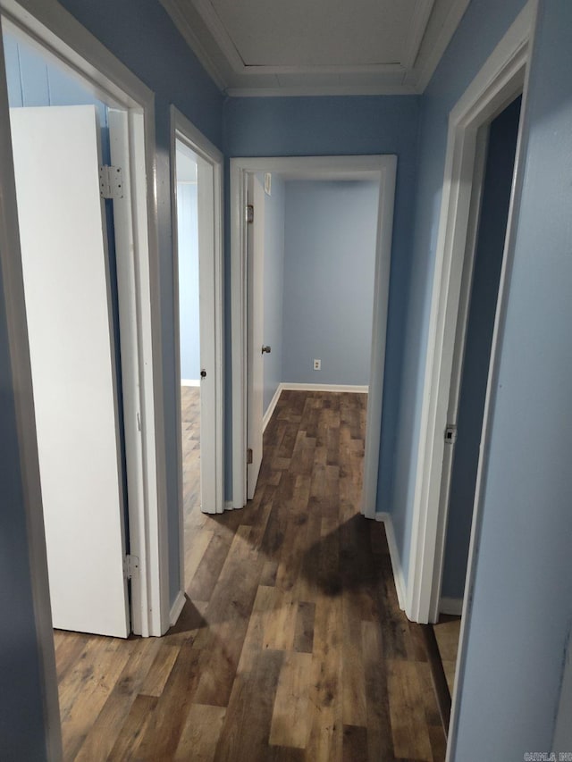 hall with dark hardwood / wood-style floors and crown molding