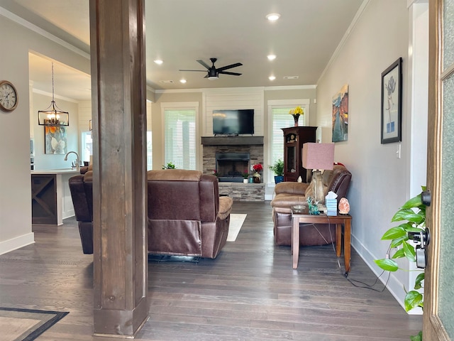 living room featuring a fireplace, ceiling fan with notable chandelier, crown molding, and dark wood-type flooring