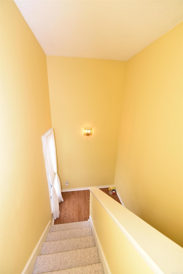 staircase with hardwood / wood-style floors