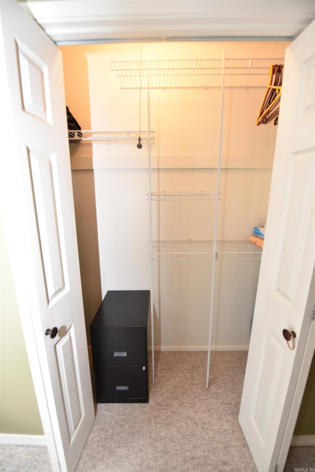 spacious closet featuring light carpet