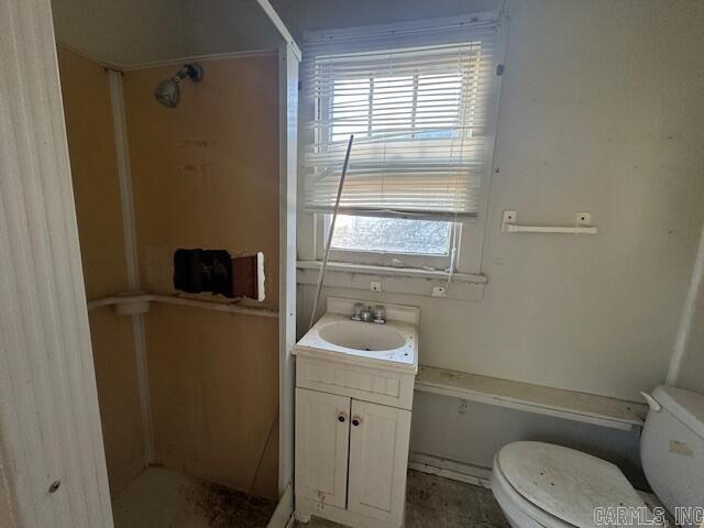 bathroom featuring a shower, vanity, and toilet