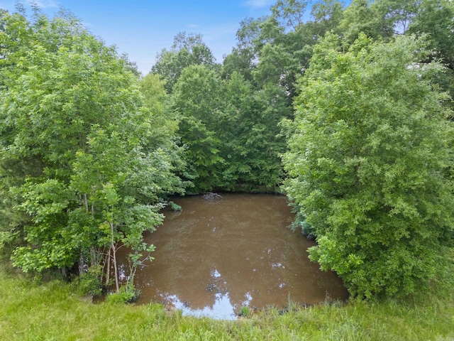 view of nature featuring a water view