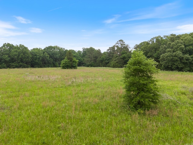 view of local wilderness featuring a rural view